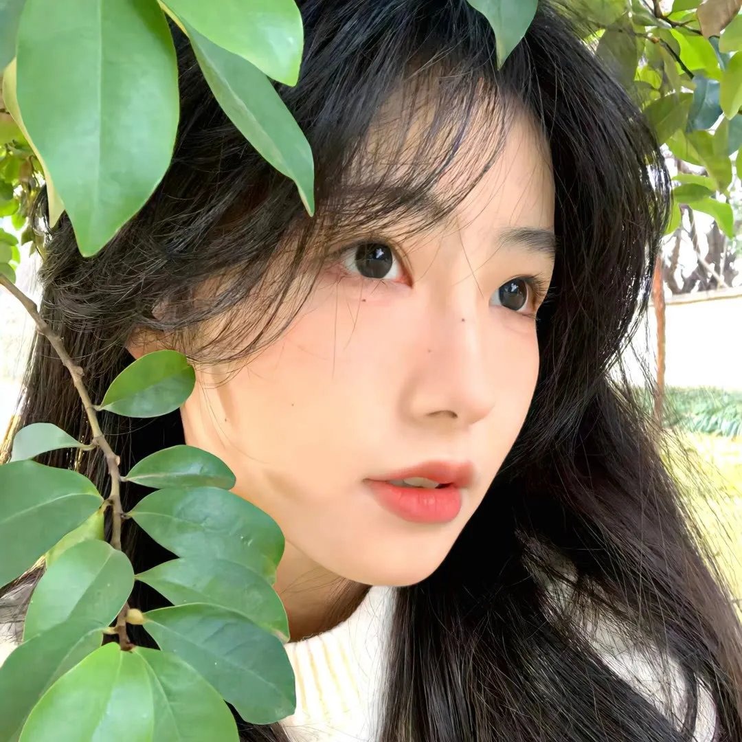 纽约客的故事
